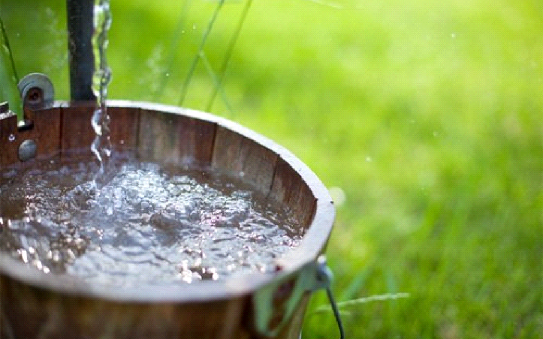 Shared Water Well? 5 Questions Rural Home Buyers Must Ask